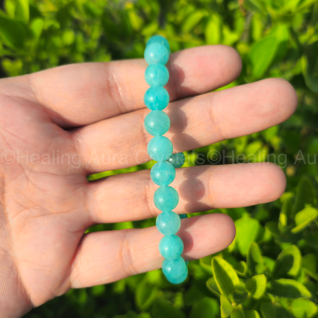 Amazonite Bracelet - Star Quality (8mm)