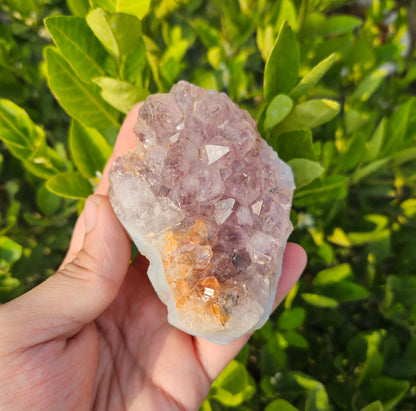 Amethyst cluster 257g