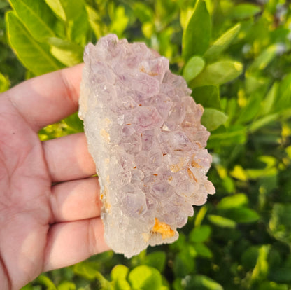 Amethyst cluster 154g