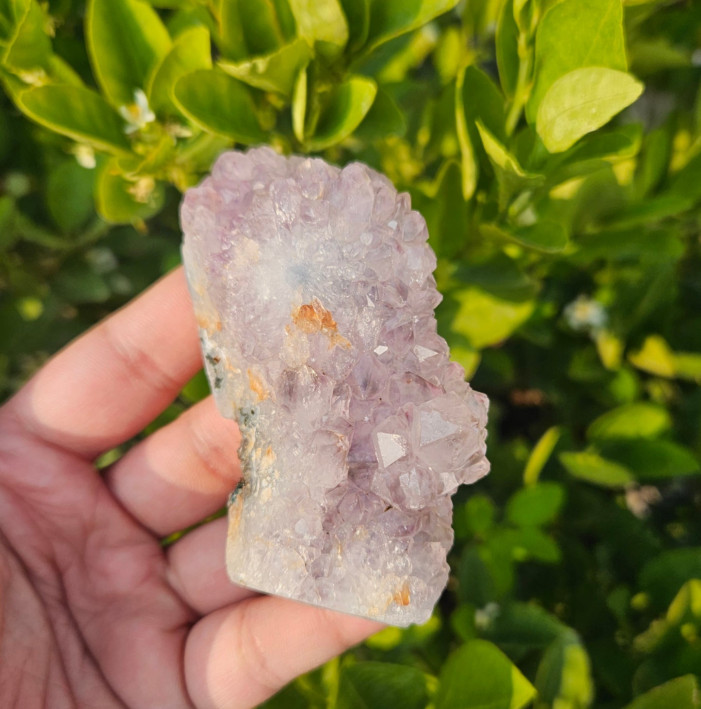 Amethyst cluster 167g