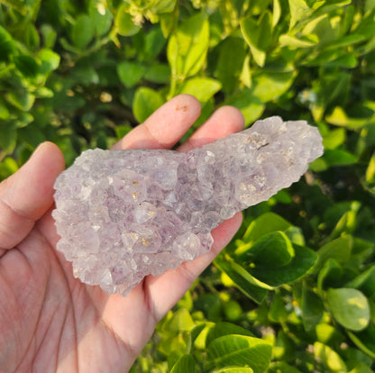 Amethyst cluster 242g