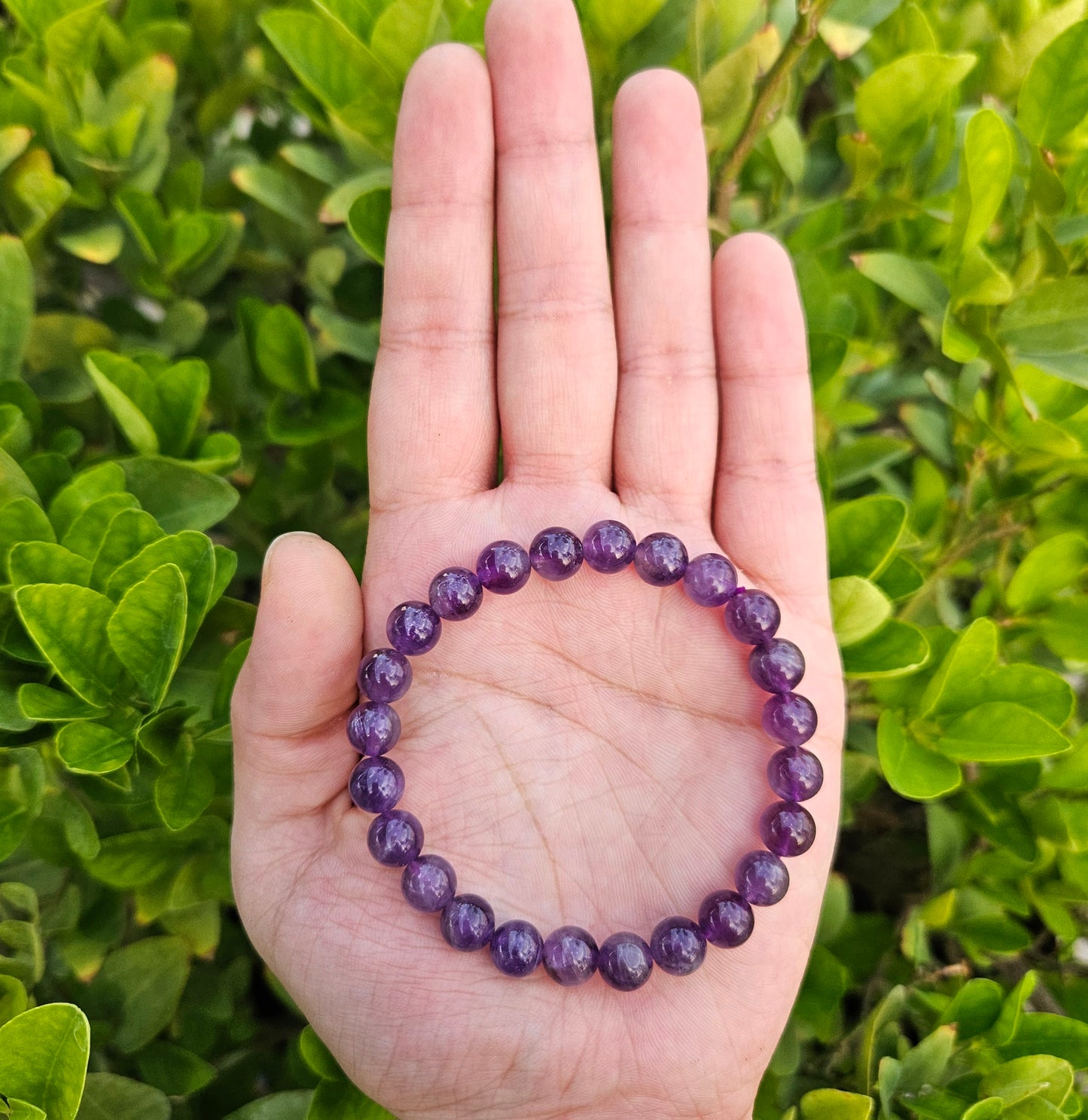 Amethyst Bracelet (8mm)