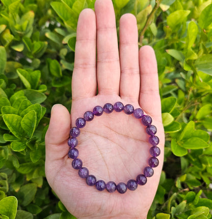 Amethyst Bracelet (8mm)