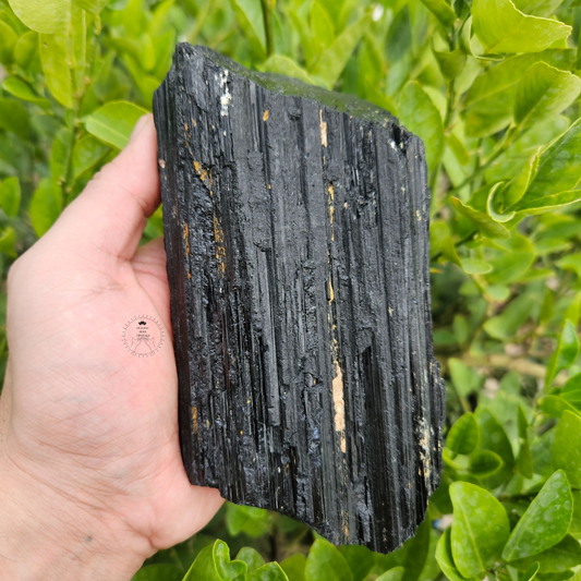 Black Tourmaline Raw 1304g