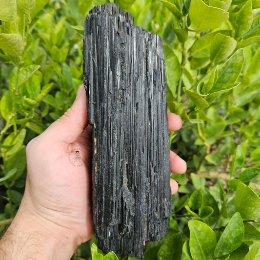 Black Tourmaline Raw 1467g