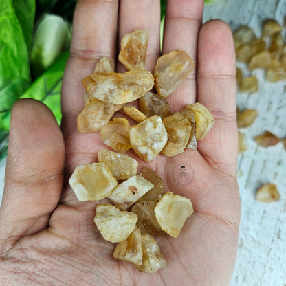 Citrine Raw Chips- Large