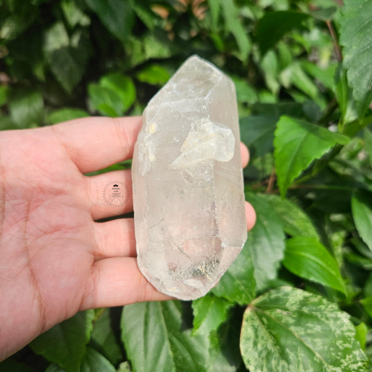 Clear Quartz Raw 232g