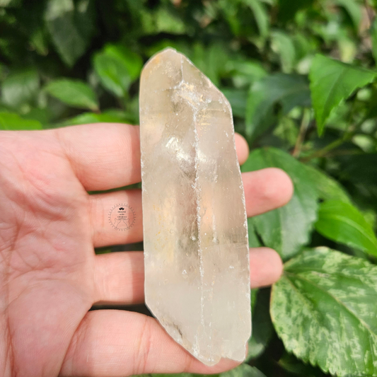 Clear Quartz Raw 164g