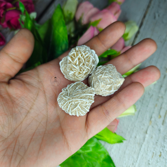 Desert Rose Selenite Raw Mini