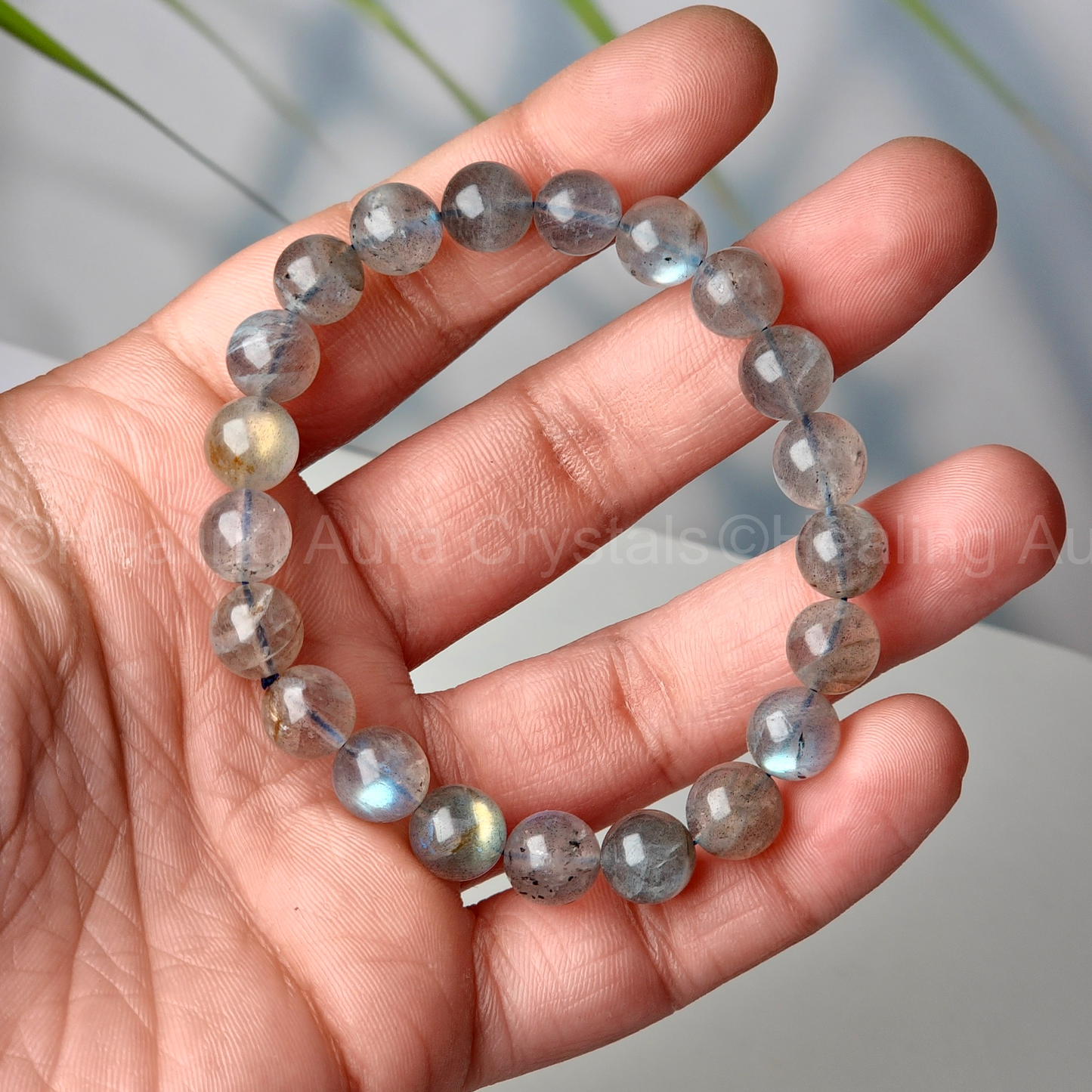 Labradorite Bracelet- Premium Quality (8mm)