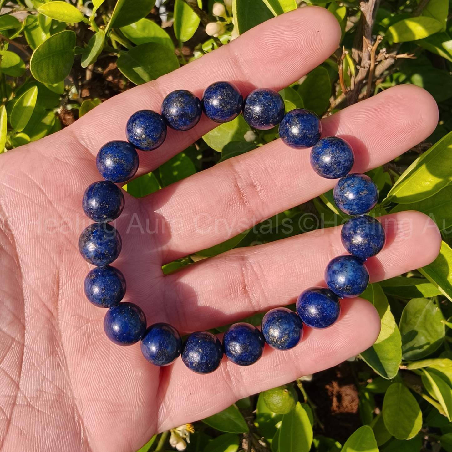 Lapis Lazuli Bracelet (10mm) - AAA Quality