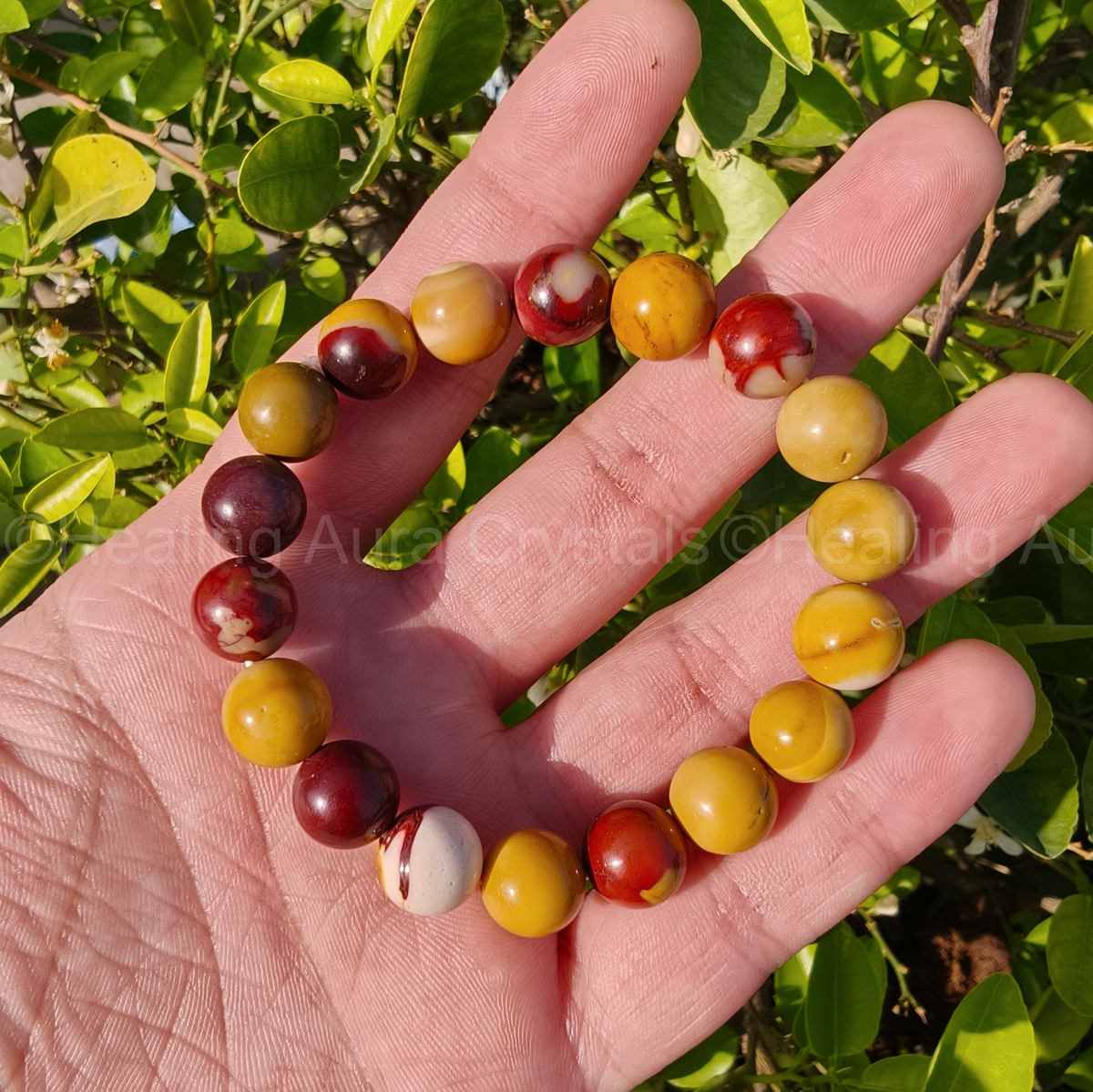 Mookaite Jasper Bracelet (10mm) - AAA Quality