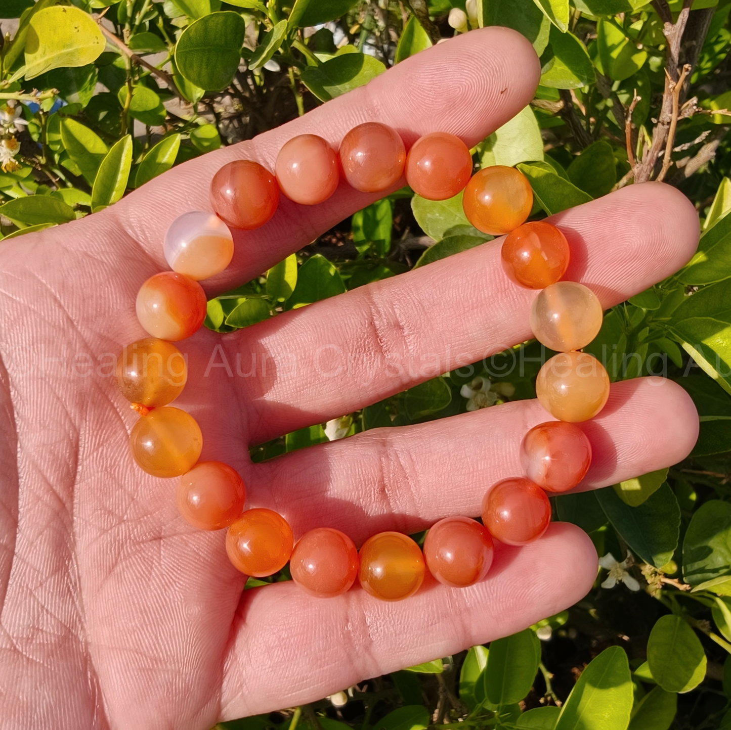 Orange Carnelian Bracelet (10mm)
