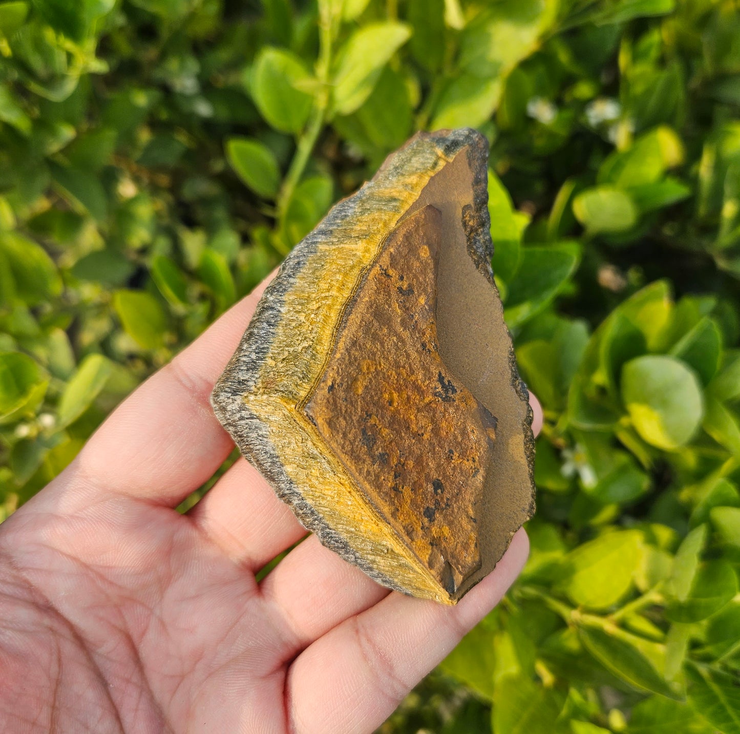 Tigers Eye Raw 139g