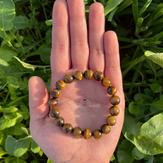 Tigers Eye Bracelet (10mm)