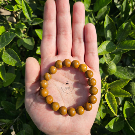 Yellow Jasper Bracelet 10mm