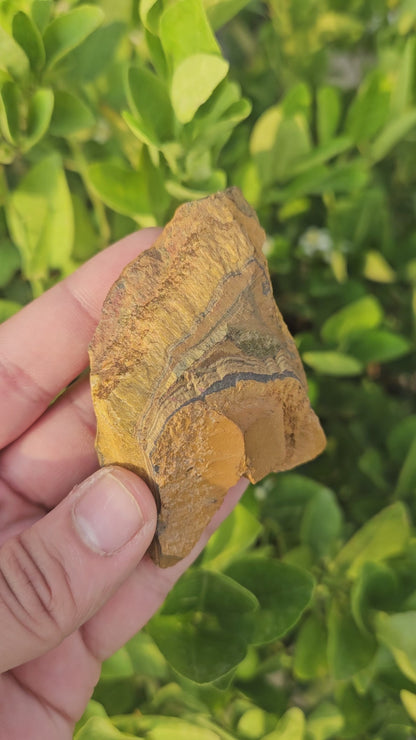 Tigers Eye Raw 133g