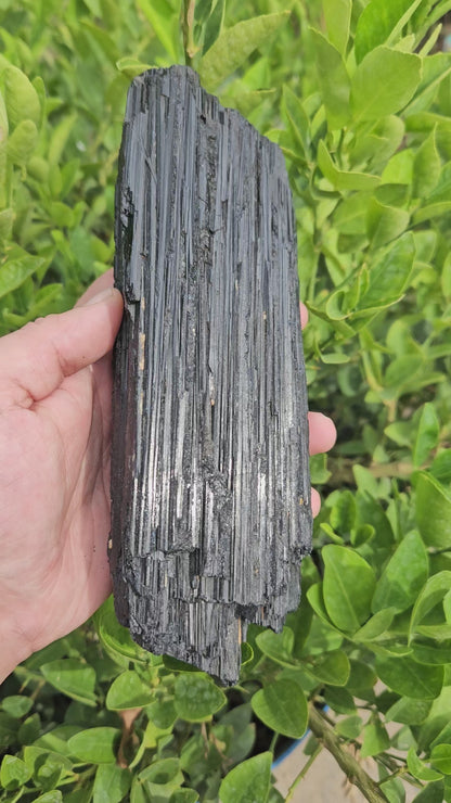 Black Tourmaline Raw 1467g