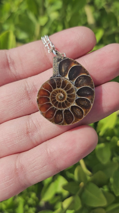 Ammonite Pendant