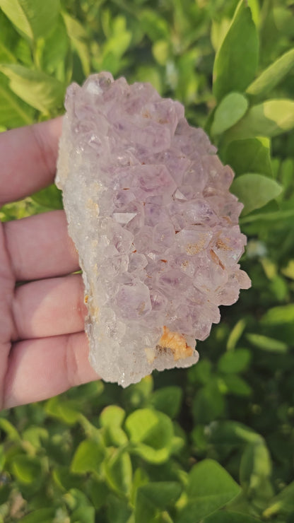 Amethyst cluster 154g