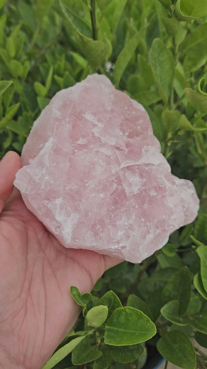 Rose Quartz Raw 847g- Premium Quality