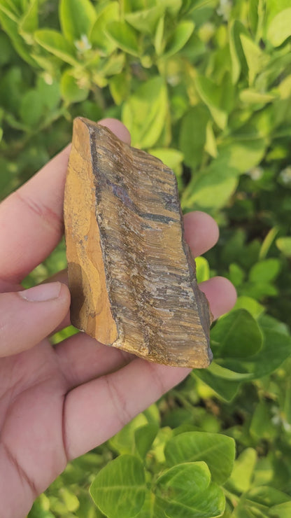 Tigers Eye Raw 146g