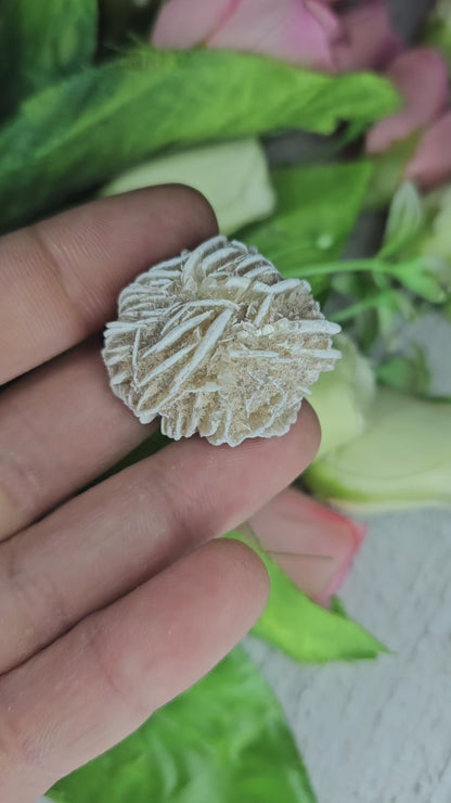 Desert Rose Selenite Raw Mini