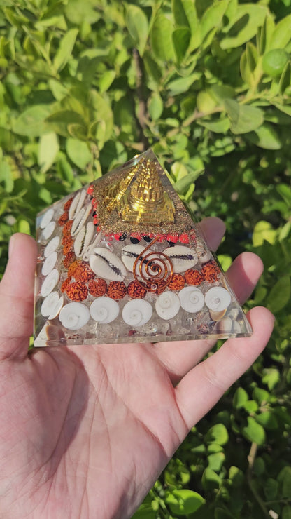 Laxmi Wealth Pyramid