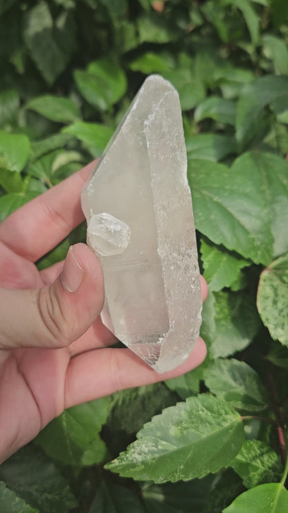 Clear Quartz Raw 232g