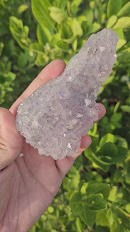 Amethyst cluster 242g