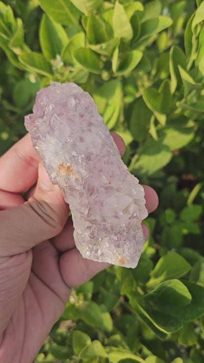 Amethyst cluster 167g