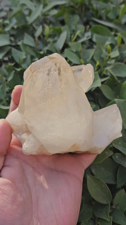 Himalayan Quartz Raw Cluster 687g