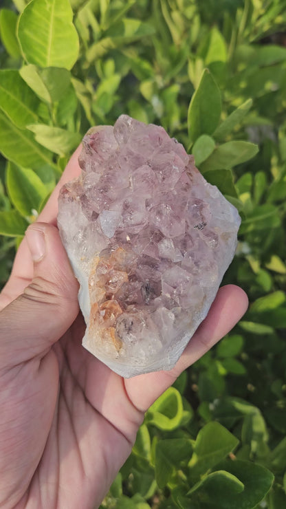 Amethyst cluster 257g