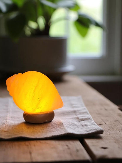 Shankh Shaped Himalayan Rock Salt Crafted Lamp – Conch Shell Salt Lamp