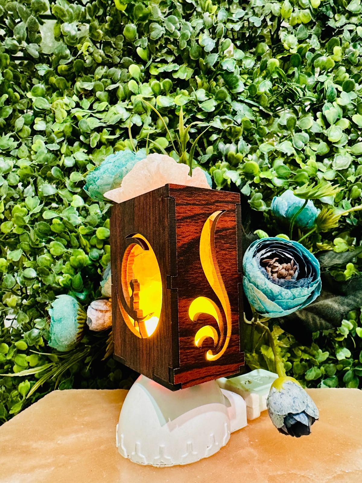 Fairy on Moon Himalayan Rock Salt Plug-In Lamp – Night Light Salt Lamp