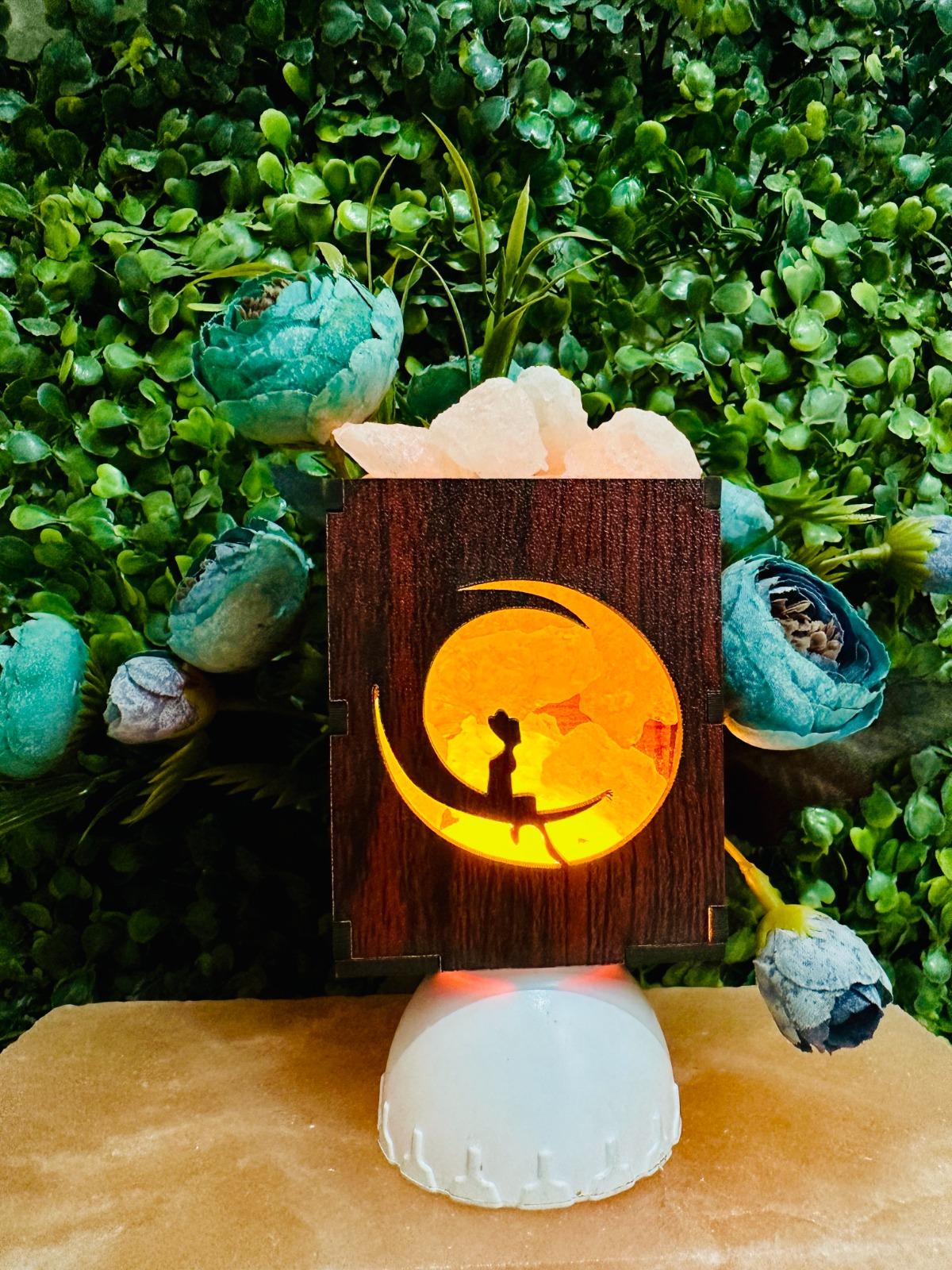 Fairy on Moon Himalayan Rock Salt Plug-In Lamp – Night Light Salt Lamp