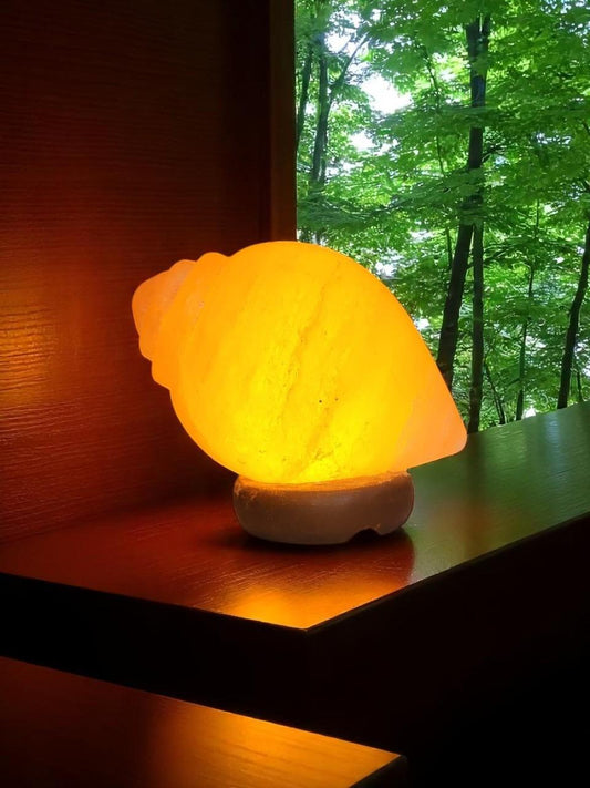 Shankh Shaped Himalayan Rock Salt Crafted Lamp – Conch Shell Salt Lamp
