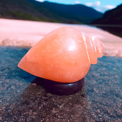 Shankh Shaped Himalayan Rock Salt Crafted Lamp – Conch Shell Salt Lamp
