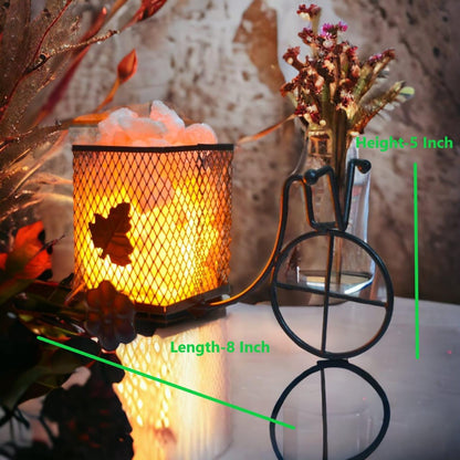 Antique Rikshaw Himalayan Rock Salt Metal Basket Lamp – Artistic Rikshaw Salt Lamp