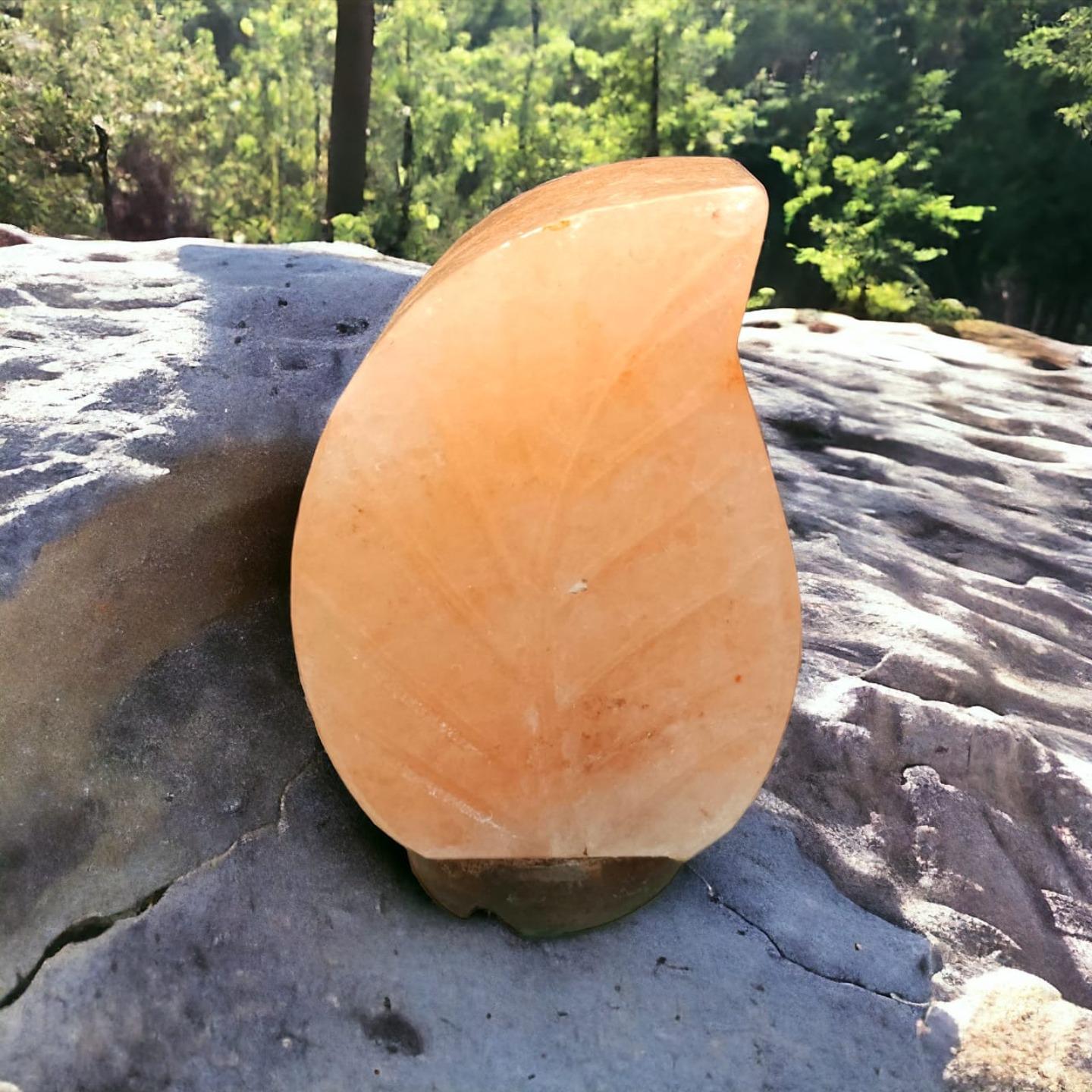 Leaf Shaped Himalayan Rock Salt Crafted Lamp – Hand-Carved Leaf Lamp