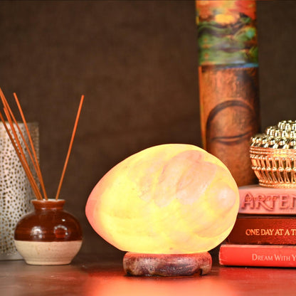 Shankh Shaped Himalayan Rock Salt Crafted Lamp – Conch Shell Salt Lamp