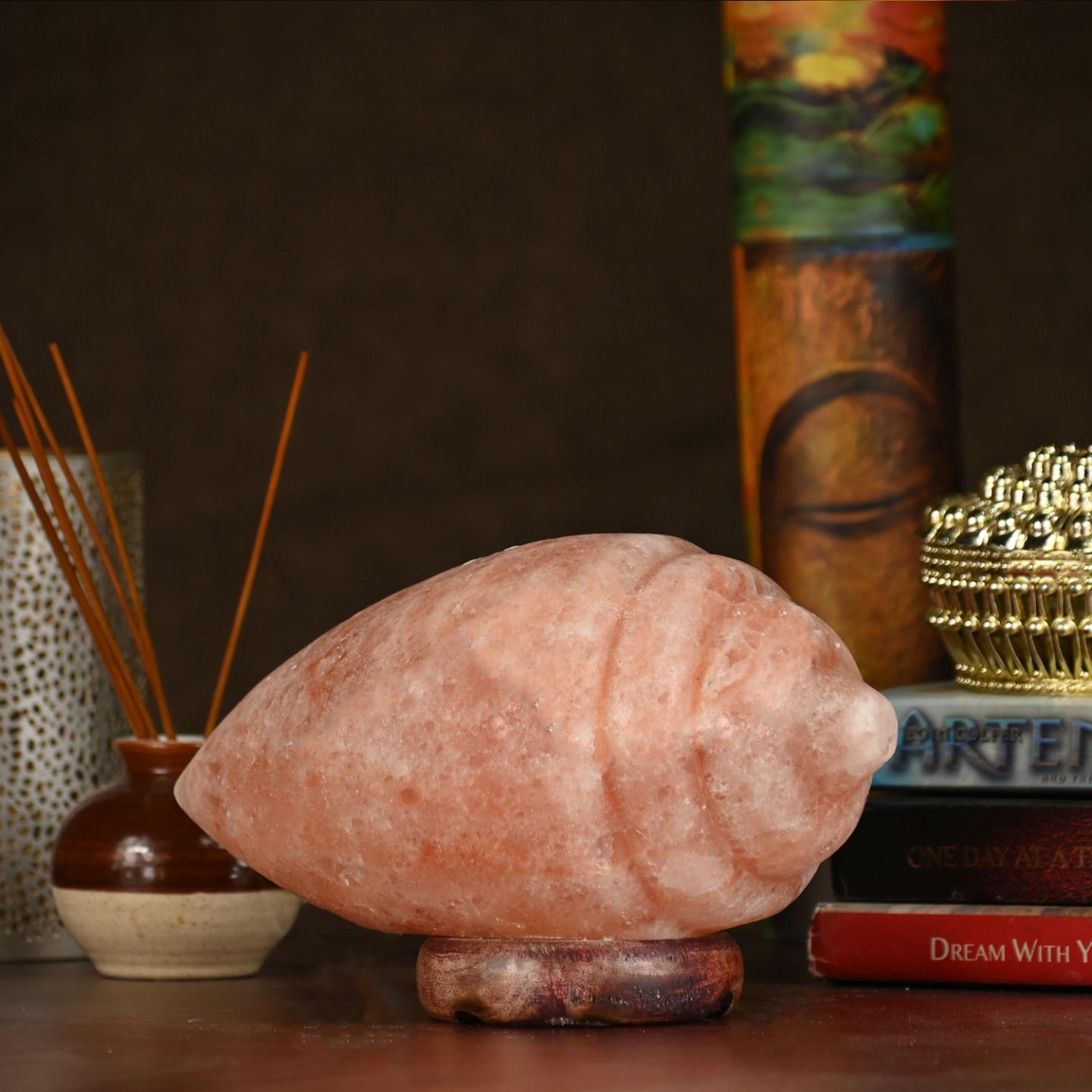 Shankh Shaped Himalayan Rock Salt Crafted Lamp – Conch Shell Salt Lamp