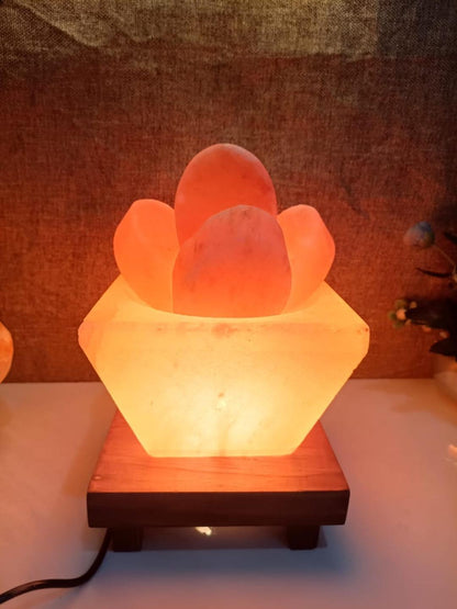 Hawan Kund Himalayan Rock Salt Crafted Lamp – Fire Kund Style Salt Lamp