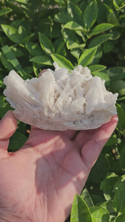 Scolecite Cluster 261 grams