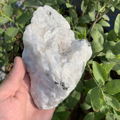 Rainbow Moonstone Raw 844g