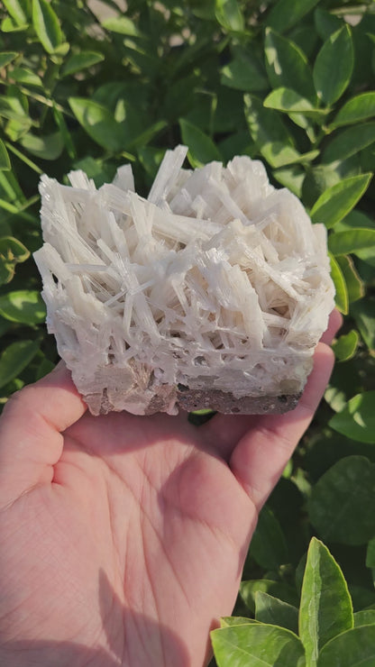 Scolecite Cluster 436 grams