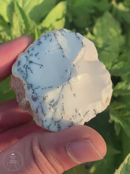 Dendritic Quartz Agate Raw
