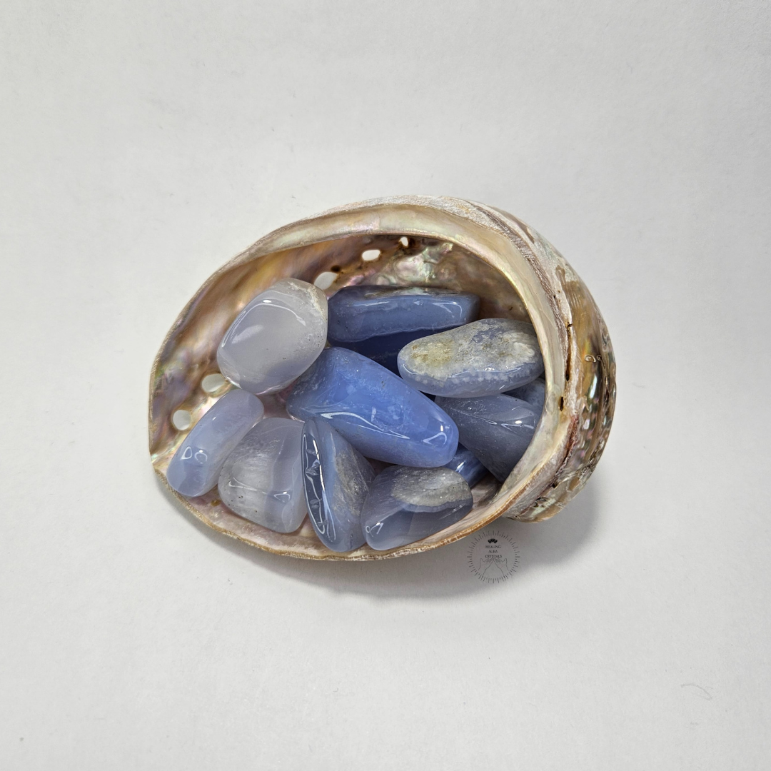 Abalone Shell | Sage Holder | Crystal Storage