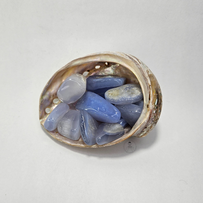 Abalone Shell | Sage Holder | Crystal Storage