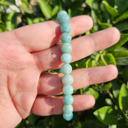 Amazonite Bracelet - Premium Quality